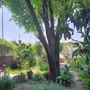 Alloggio in famiglia With A Garden, Milano